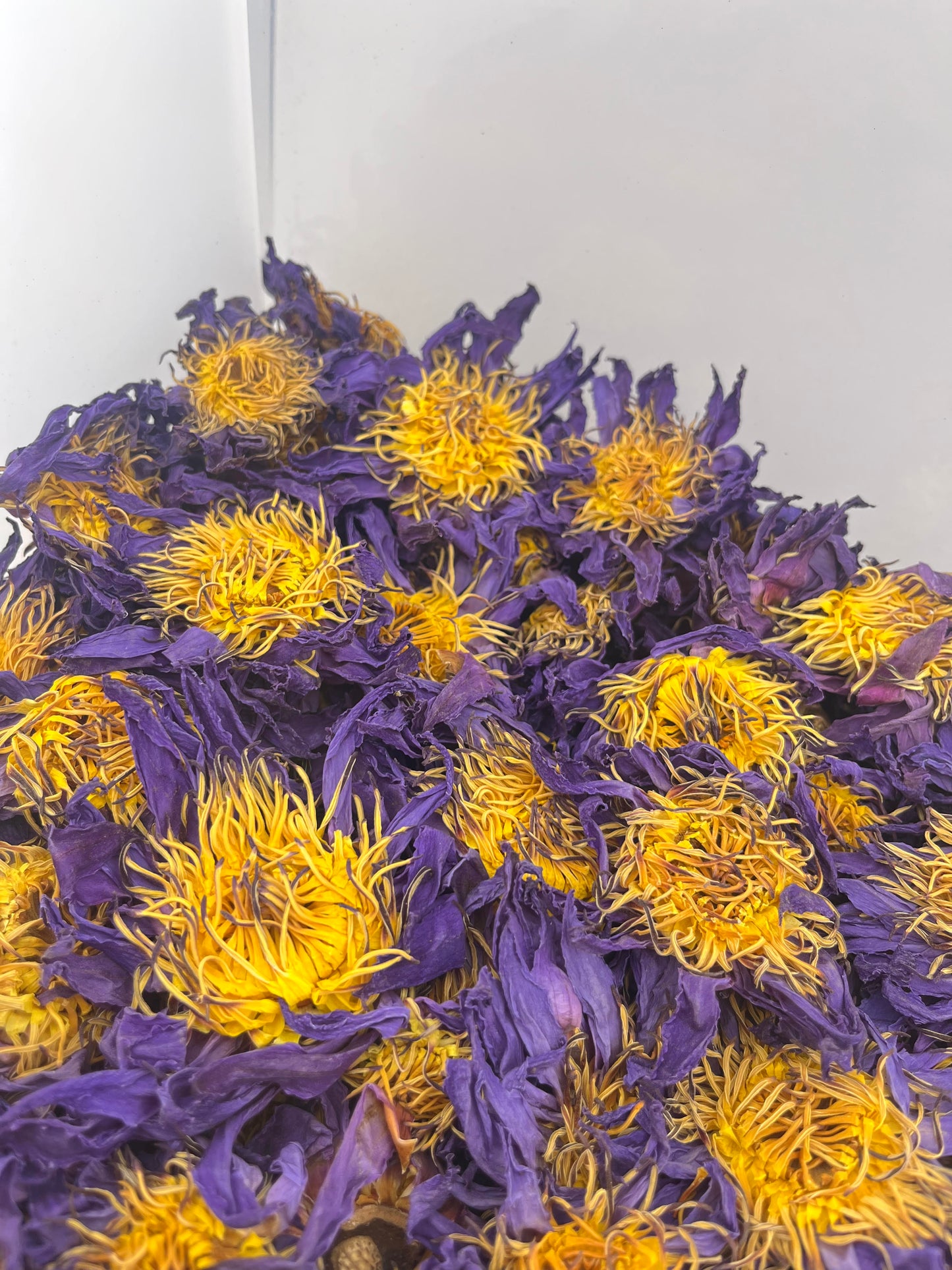 SALE | 50g Blue Lotus Flower