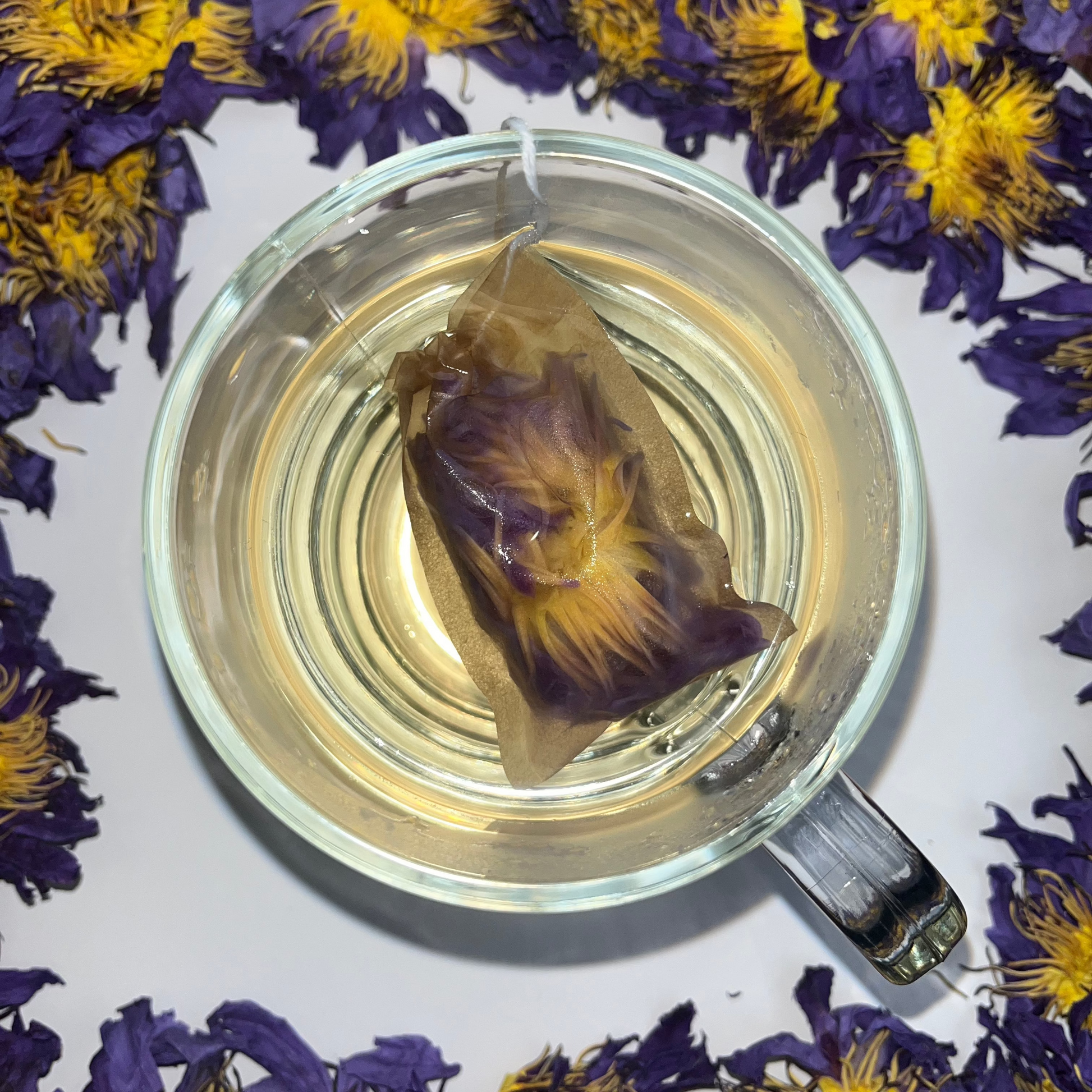 Decaffeinated Herbal Tea Bags - Blue Lotus | Chamomile Tea